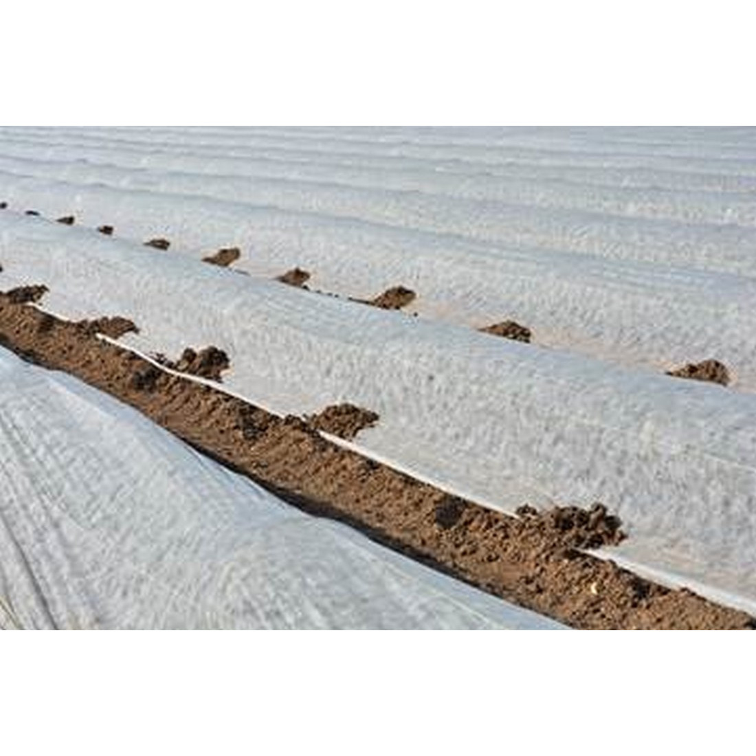 Manta térmica agrícola Rollos 250m, Tienda online
