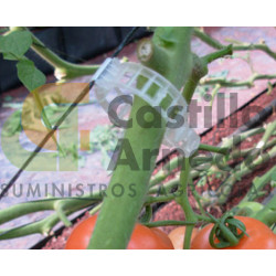 Clips de tomate