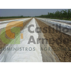 PLASTICO ESPARRAGO, ROLLO 300 METROS 2