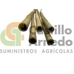 TUTOR BAMBU NATURAL 2.10m. Calibre 16-18mm. 100ud.