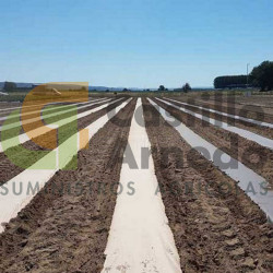 Papel acolchado 0,90. Rollo 25metros