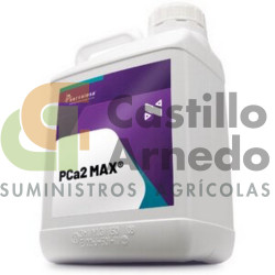 PCA2, 20L