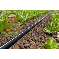 CINTA RIEGO TSX 508-20-500. Rollo de 100 mts