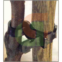 Bridas de sujeción para árboles 2