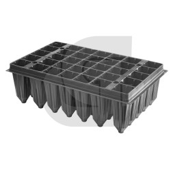 Semillero Termoformado Forestal PACK