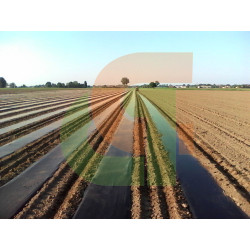 Plástico Biodegradable 1,10 Rollo 100 m.