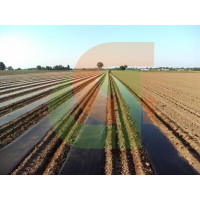 Plástico Biodegradable 1,10 Rollo 100 m.