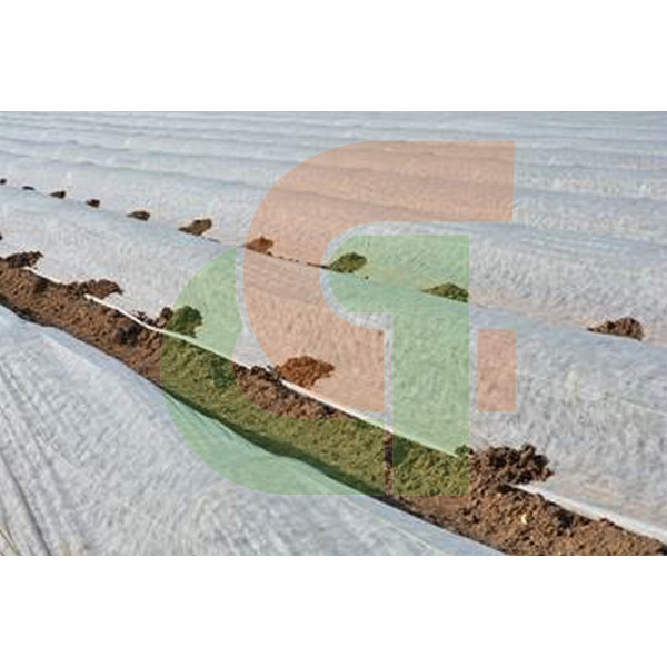 Manta térmica agrícola 6.50x50m