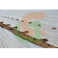 Manta térmica agrícola 6.50x50m