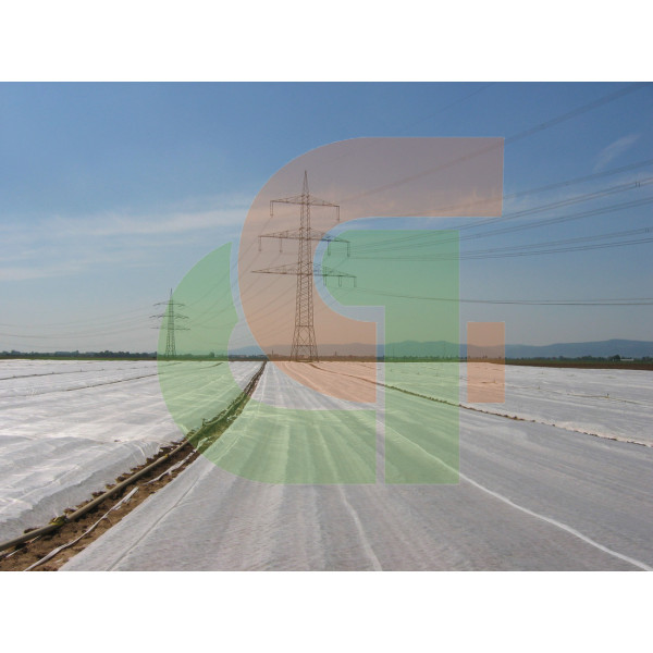 Manta térmica agrícola 6.50x100m