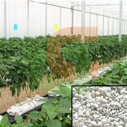 PERLITA EN BOLSA DE CULTIVO, 40L 2