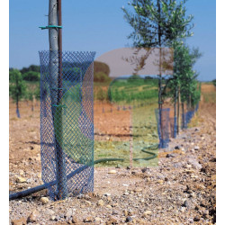 Zarcillo Protector Negro