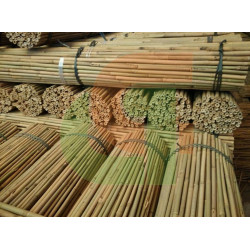 TUTOR BAMBU NATURAL 1,80m. Calibre 14-16mm. 200ud. 2