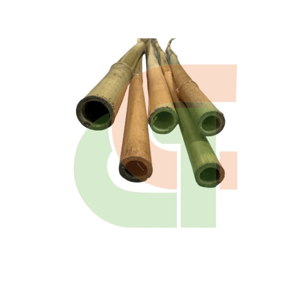 TUTOR BAMBU NATURAL 2.40m. Calibre 22-24mm. 50ud.