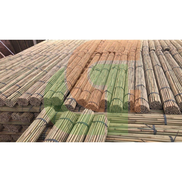 TUTOR BAMBU NATURAL 2.40m. Calibre 22-24mm. 50ud.