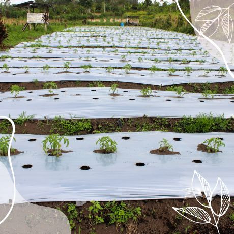 Cómo hacer agujeros en la malla antihierbas: métodos y consideraciones