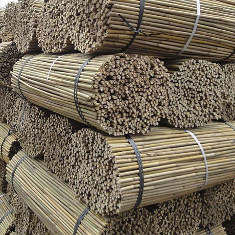 Sistemas de atado y entutorado