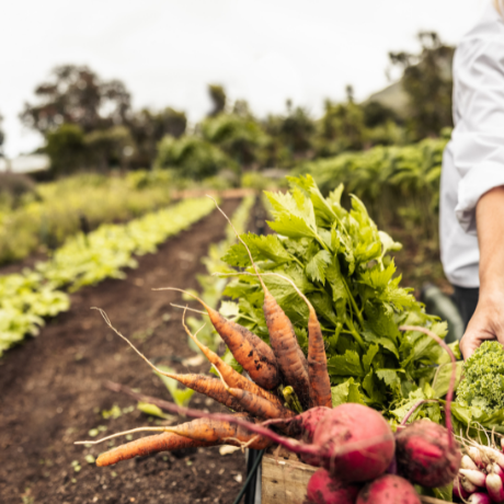 Técnica de la confusión sexual