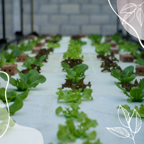 Malla de suelo: ¿para qué sirve y cómo se coloca?